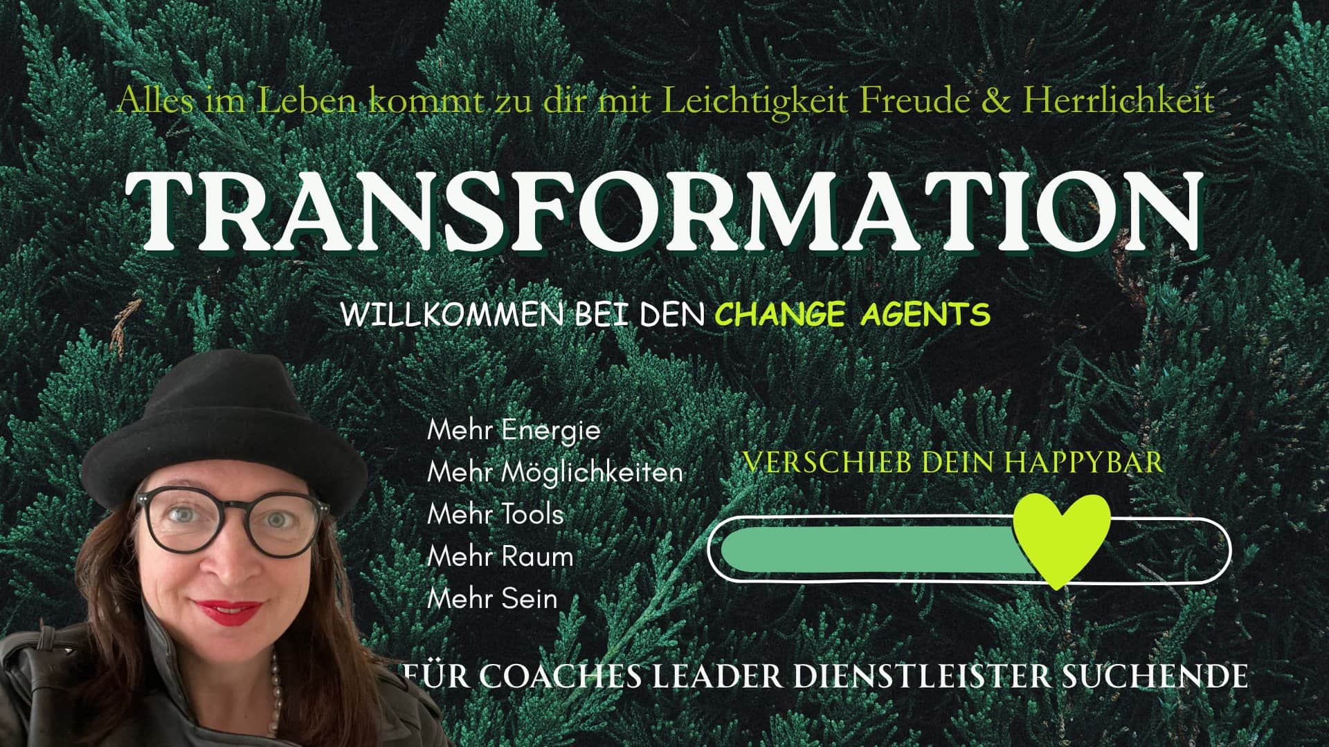 Change Agents - Veränderung mit Leichtigkeit cover
