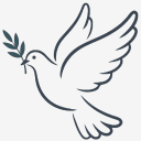 Kingdom Identity Network logo