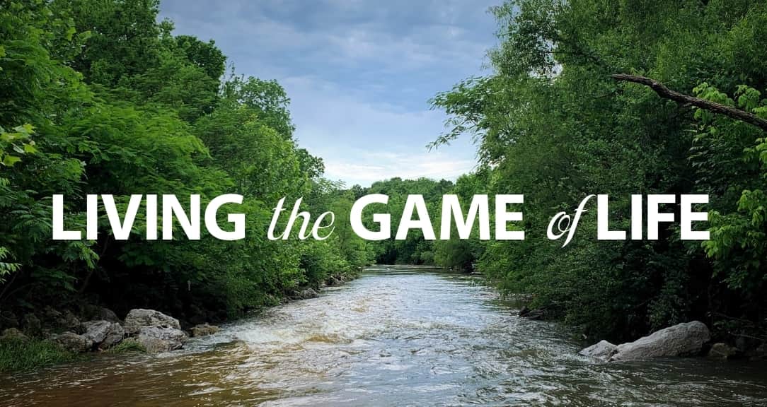 Living the Game of Life cover