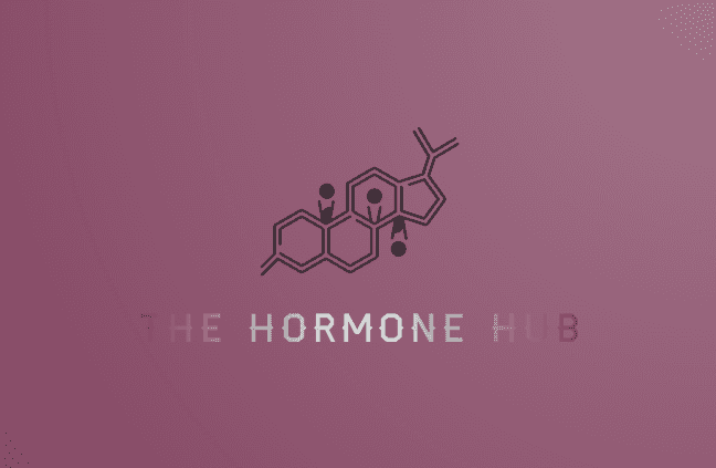 The Hormone Hub cover