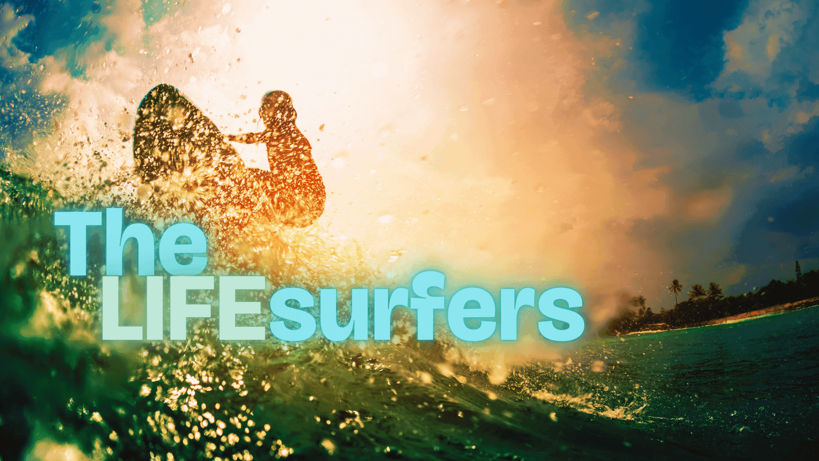 The LIFEsurfers cover